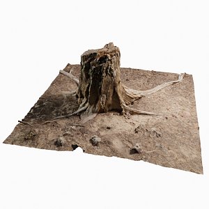 3D cedar tree stump