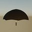Amazon Umbrella
