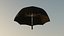 Amazon Umbrella