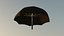 Amazon Umbrella