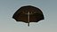 Amazon Umbrella