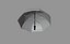 Amazon Umbrella