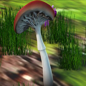 3D Amanita Red model