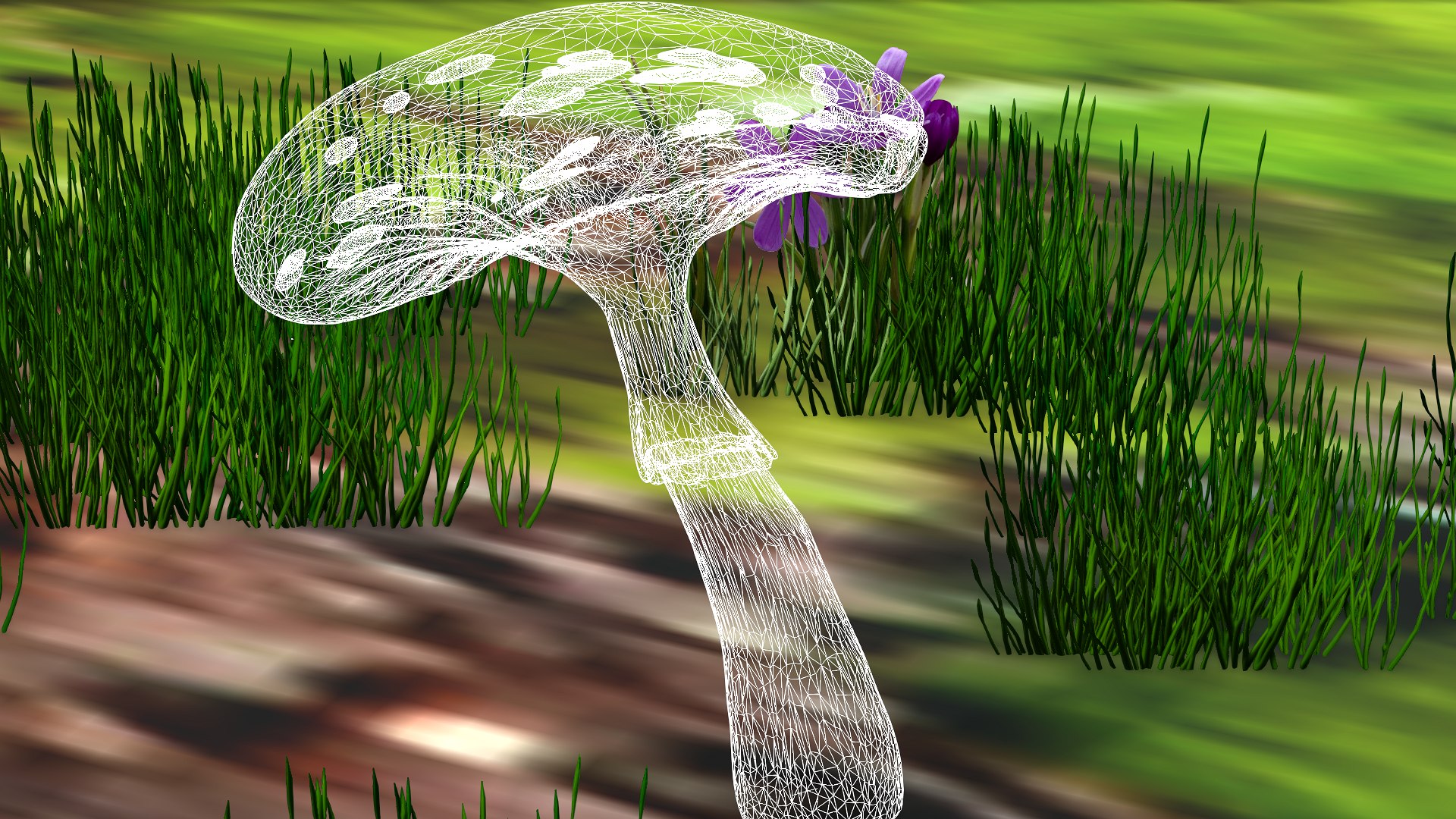 3D Amanita Red model https://p.turbosquid.com/ts-thumb/Zk/lpfV8c/v1/wireframe/png/1631614438/1920x1080/fit_q87/b15b33a4445797fc1b3fb01652bbf46ef10e55f6/wireframe.jpg