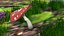 Rojo Amanita