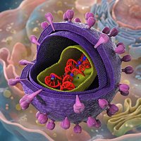 HIV Virus Structure Cutaway Purple