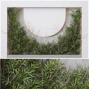 Plant Wall Garden 04