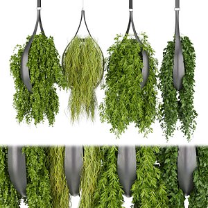 3D Collection plant vol 253 - Indoor - balcony - ampelous