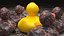 Patito de goma