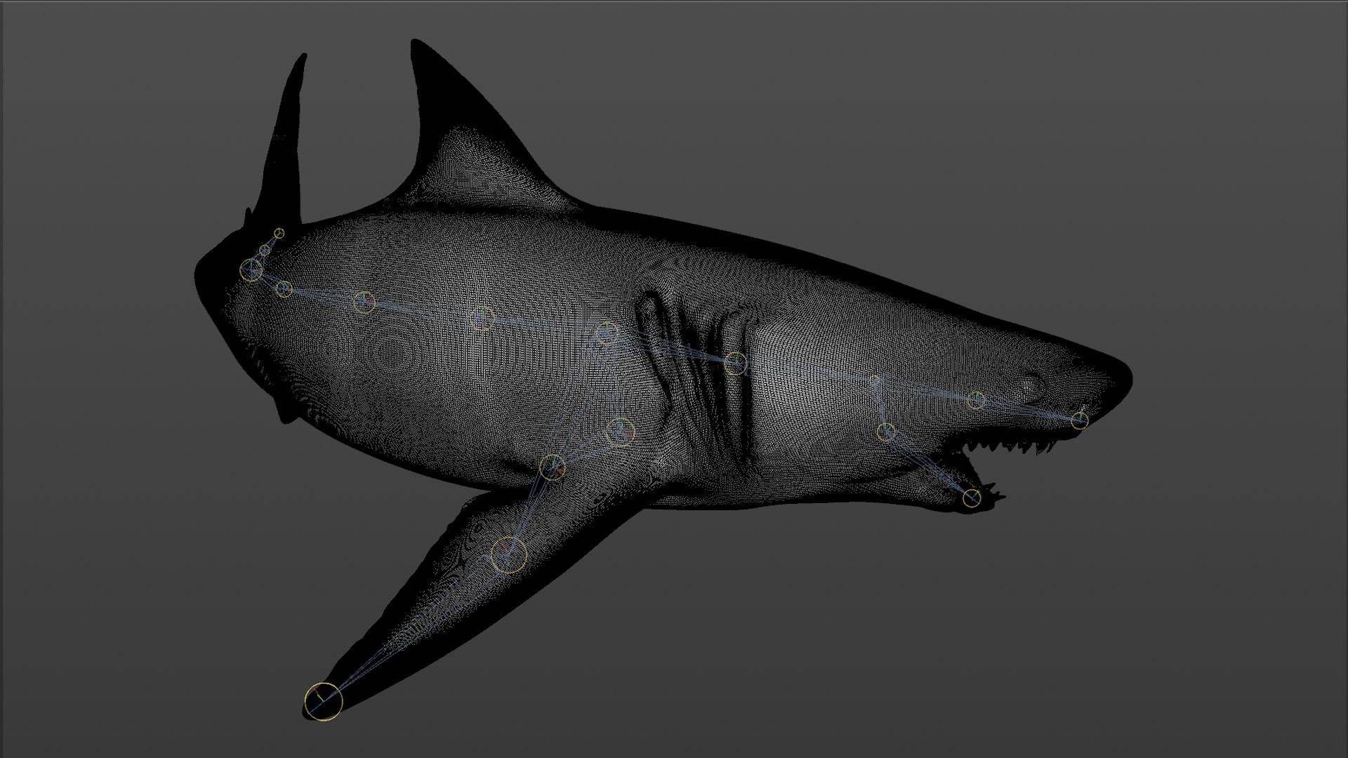 great white shark rigged 3D https://p.turbosquid.com/ts-thumb/Zl/GujvOM/3zYpxAc7/61/png/1591662962/1920x1080/fit_q87/26983a102616c3f745f55be4ca784cc6d775b6ef/61.jpg