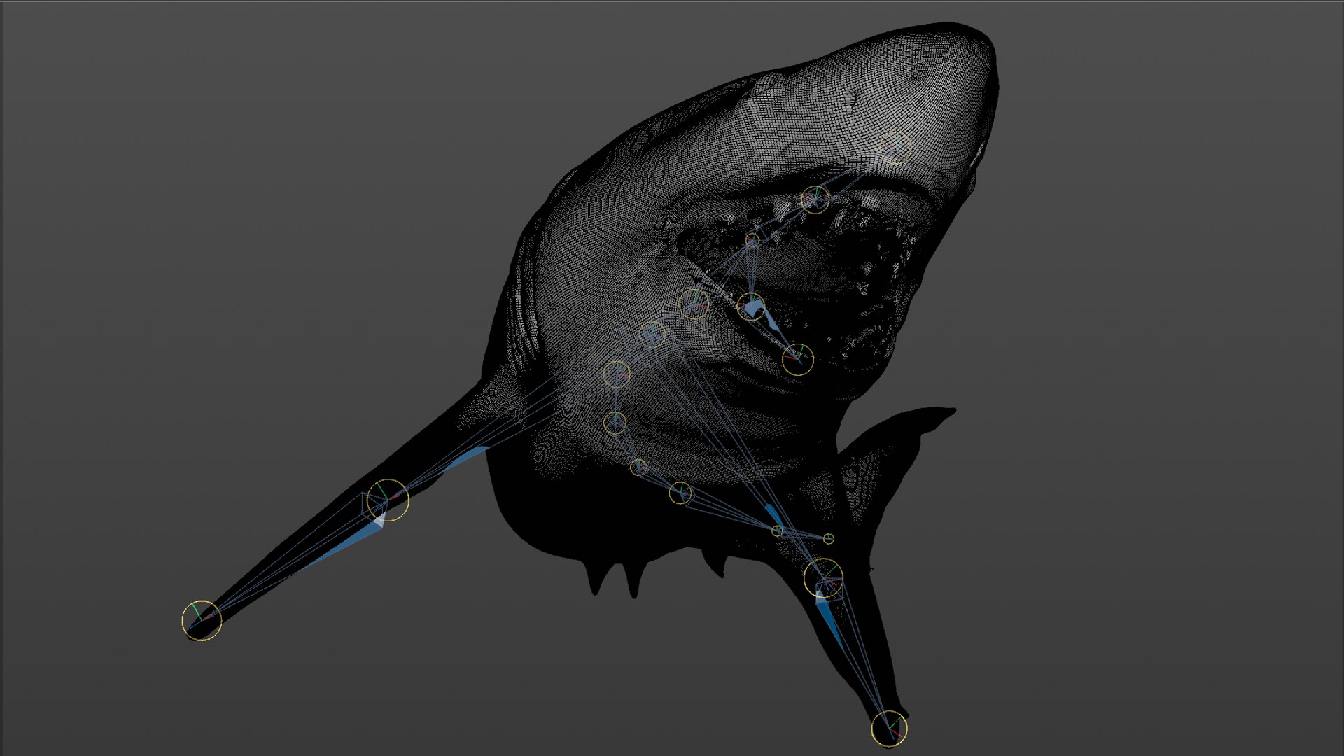 great white shark rigged 3D https://p.turbosquid.com/ts-thumb/Zl/GujvOM/5F146T50/68/png/1591662962/1920x1080/fit_q87/06867eb635a59276e90bf19186491df0957a7cf2/68.jpg