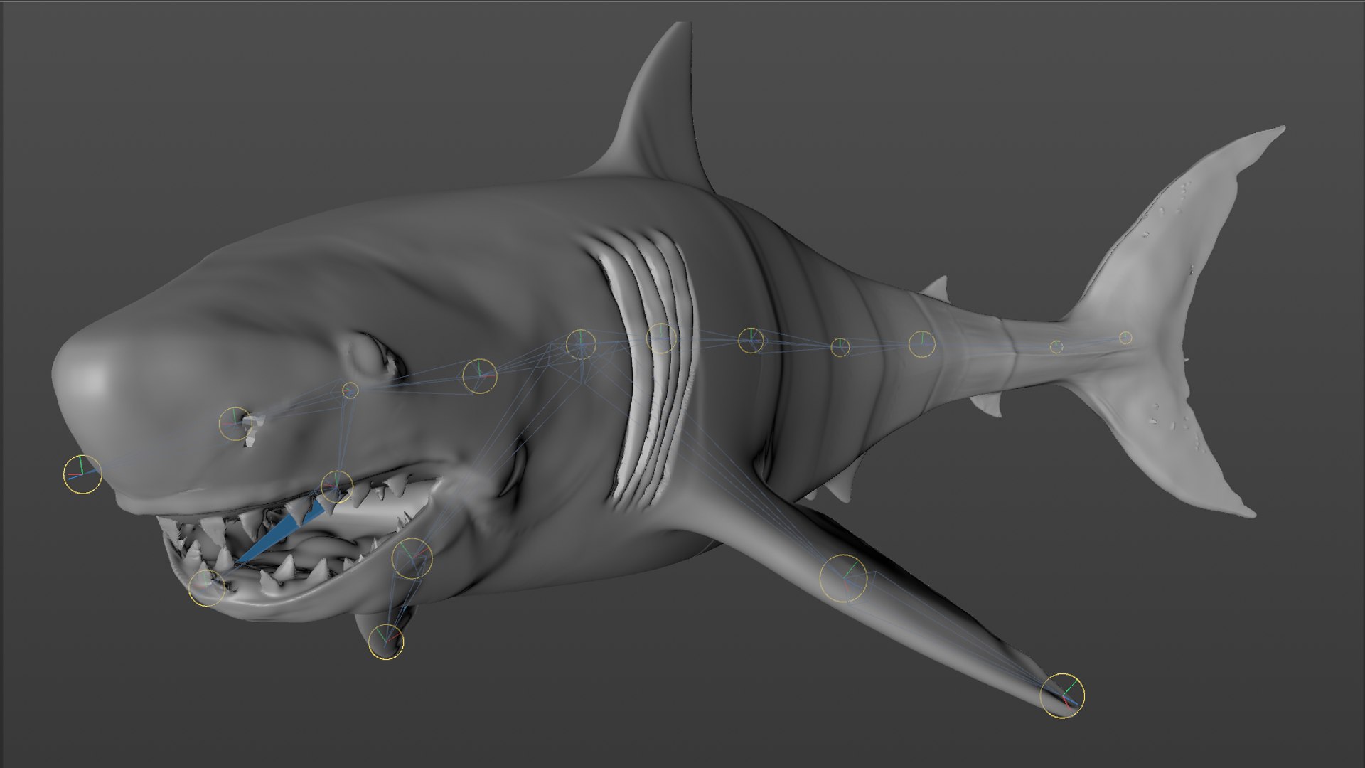 great white shark rigged 3D https://p.turbosquid.com/ts-thumb/Zl/GujvOM/5tEvWgzG/59/png/1591662961/1920x1080/fit_q87/3387d879b30719833da3867d61f2edd14308aa31/59.jpg