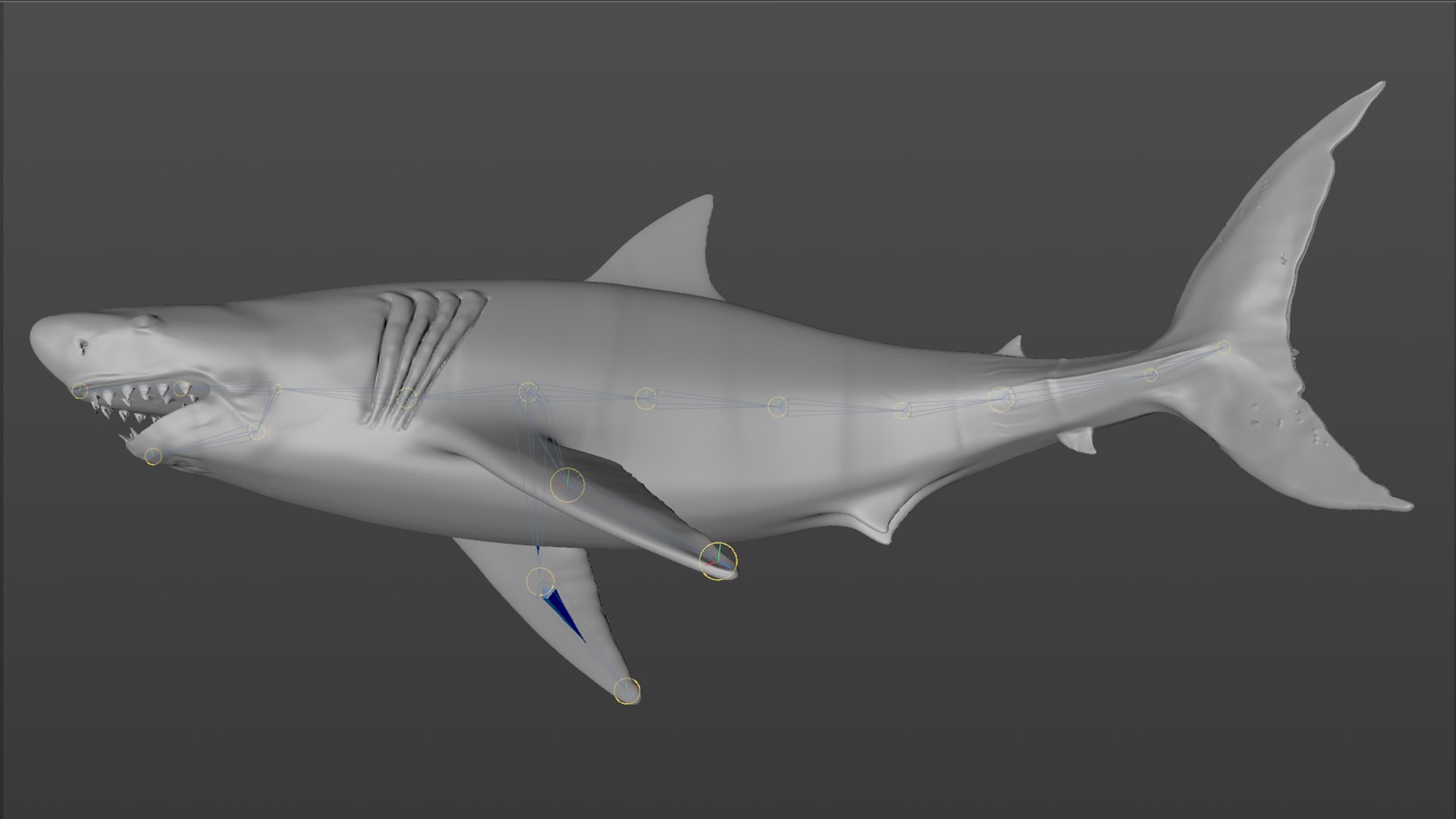 great white shark rigged 3D https://p.turbosquid.com/ts-thumb/Zl/GujvOM/9gOqa010/57/png/1591662961/1920x1080/fit_q87/081679401d6e9664dd978942f525776d2d5028fc/57.jpg