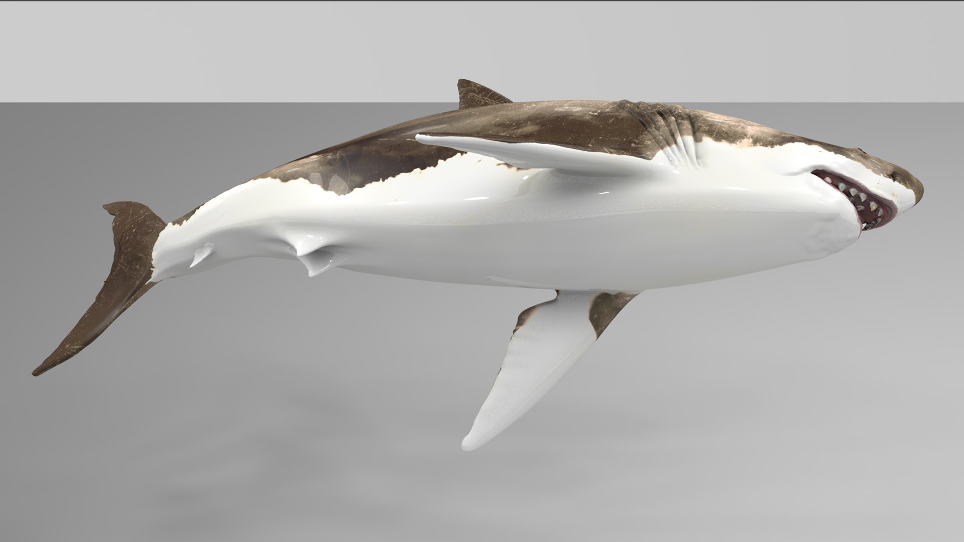 great white shark rigged 3D https://p.turbosquid.com/ts-thumb/Zl/GujvOM/BRXuR3wO/07/png/1591662602/1920x1080/fit_q87/370531c9de44c282b7081d80b06c393c32966960/07.jpg