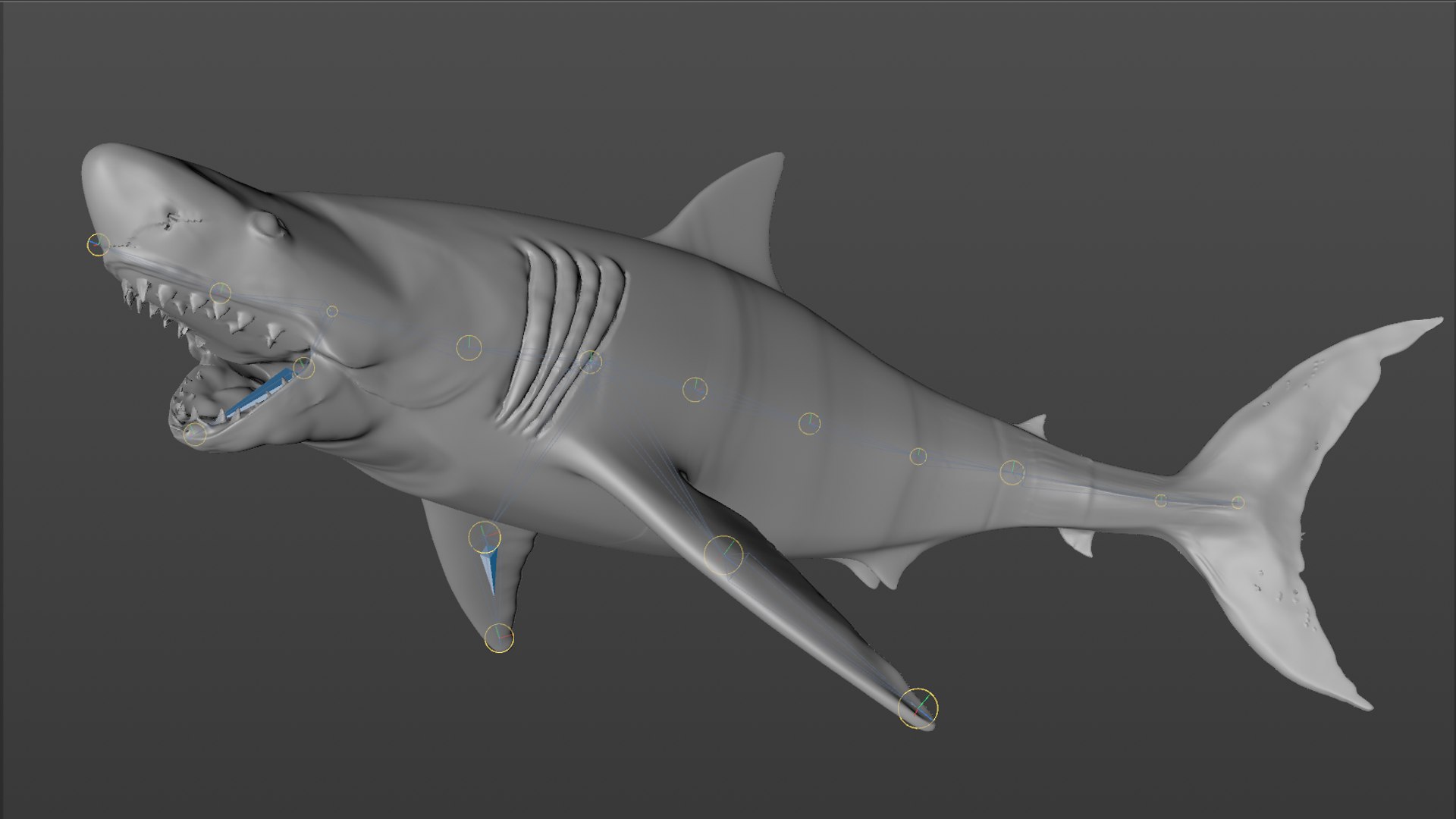 great white shark rigged 3D https://p.turbosquid.com/ts-thumb/Zl/GujvOM/E5GAD8ll/54/png/1591662961/1920x1080/fit_q87/037ecd0aa12f88bd085973a176da202defd0c056/54.jpg