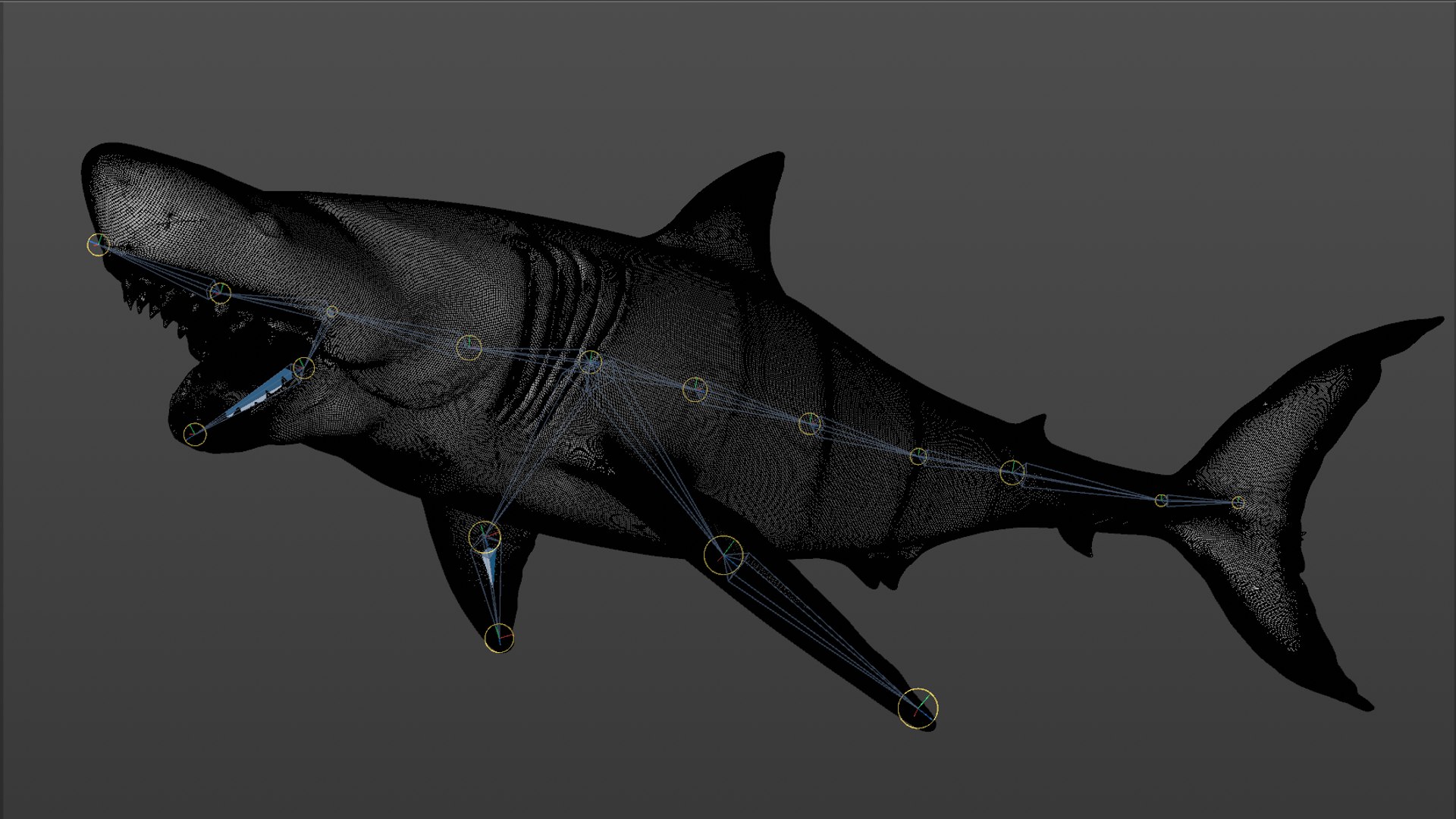 great white shark rigged 3D https://p.turbosquid.com/ts-thumb/Zl/GujvOM/E9iaIgrQ/53/png/1591662961/1920x1080/fit_q87/6c692ec9a0b2514afbf9a9dc18c6b299442c10a3/53.jpg