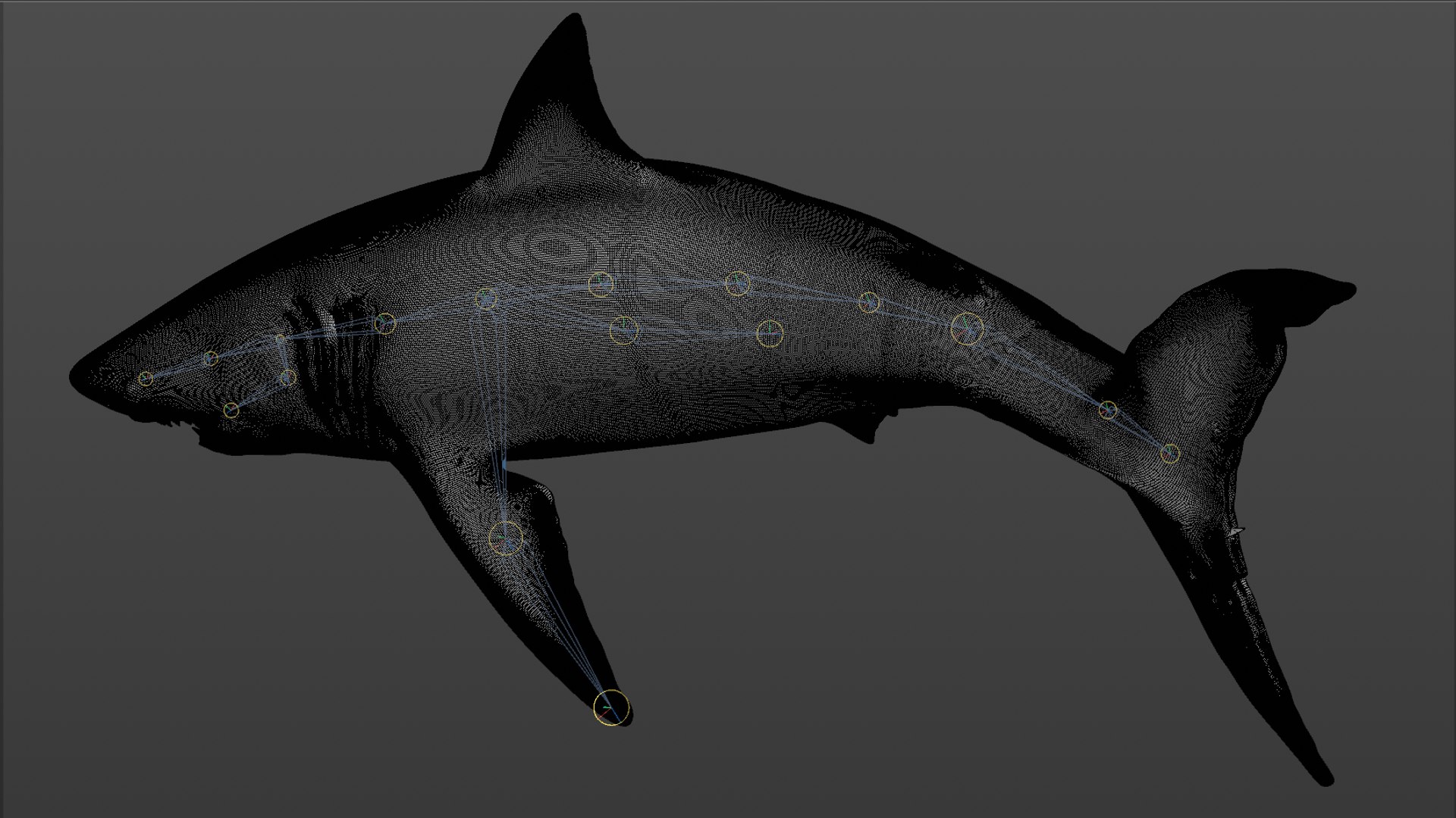 great white shark rigged 3D https://p.turbosquid.com/ts-thumb/Zl/GujvOM/IQAwhoSz/35/png/1591662960/1920x1080/fit_q87/cd353925ff5654fb3ef96c62083895ff59312084/35.jpg