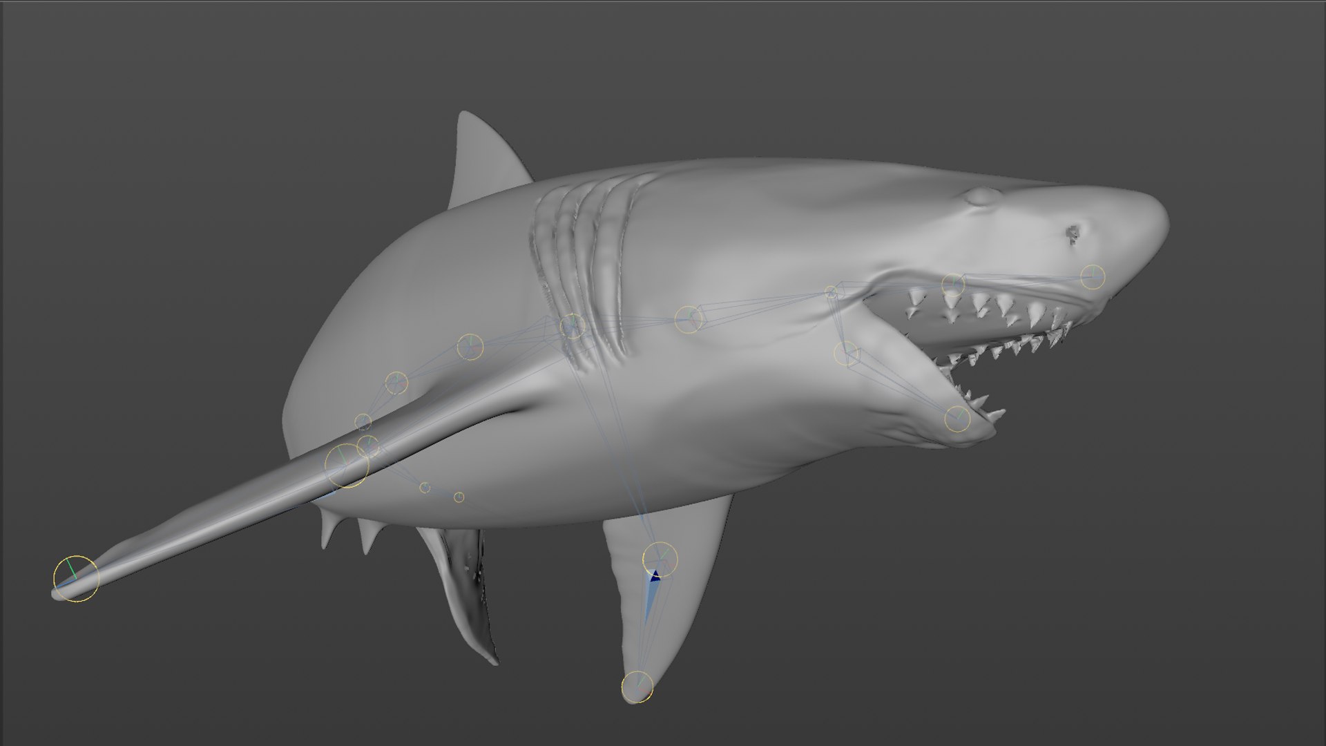 great white shark rigged 3D https://p.turbosquid.com/ts-thumb/Zl/GujvOM/JPbITzi3/64/png/1591662962/1920x1080/fit_q87/0cc38af410cb8b5f0ae047b40278b184d86da1a3/64.jpg