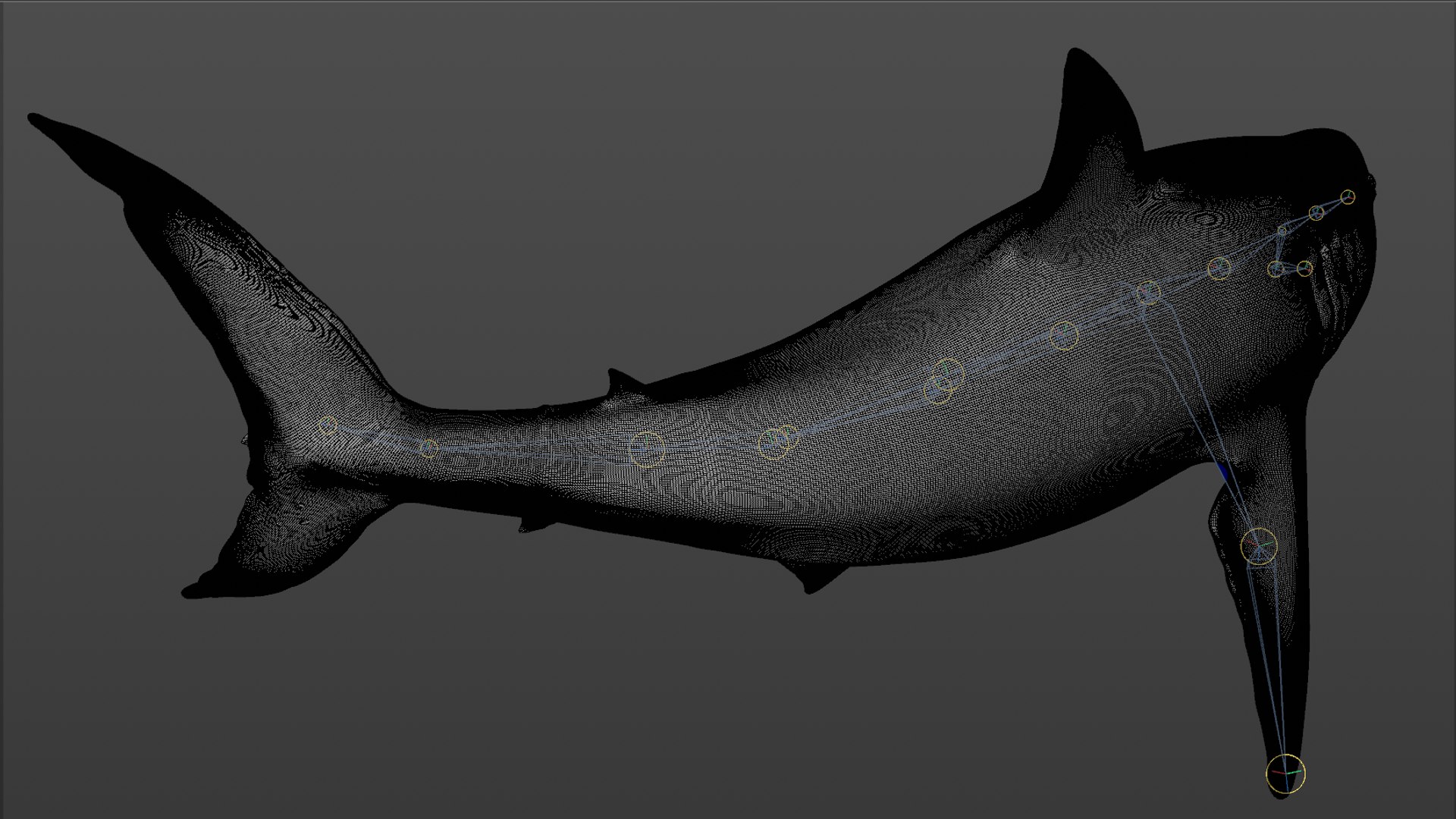great white shark rigged 3D https://p.turbosquid.com/ts-thumb/Zl/GujvOM/N7OEwyCw/51/png/1591662961/1920x1080/fit_q87/9091d51444753670cfb397ab68bcc97bee340ac9/51.jpg