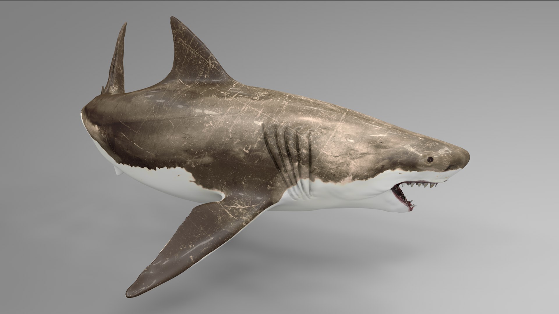 great white shark rigged 3D https://p.turbosquid.com/ts-thumb/Zl/GujvOM/Rj7wX1cG/16/png/1591662603/1920x1080/fit_q87/f343bbb201ff79d3f51ad6c474289638584578ac/16.jpg