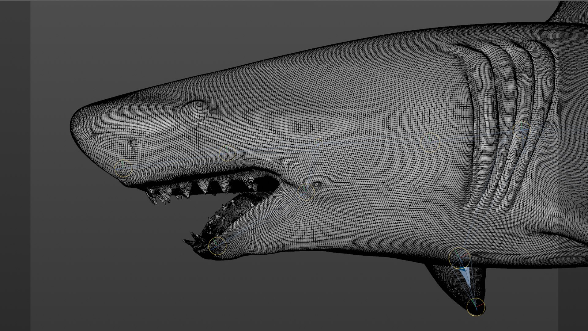 great white shark rigged 3D https://p.turbosquid.com/ts-thumb/Zl/GujvOM/TTSGQyZ8/30/png/1591662960/1920x1080/fit_q87/99c0c2047b94c8b28bd1a76136deb0881e134a13/30.jpg