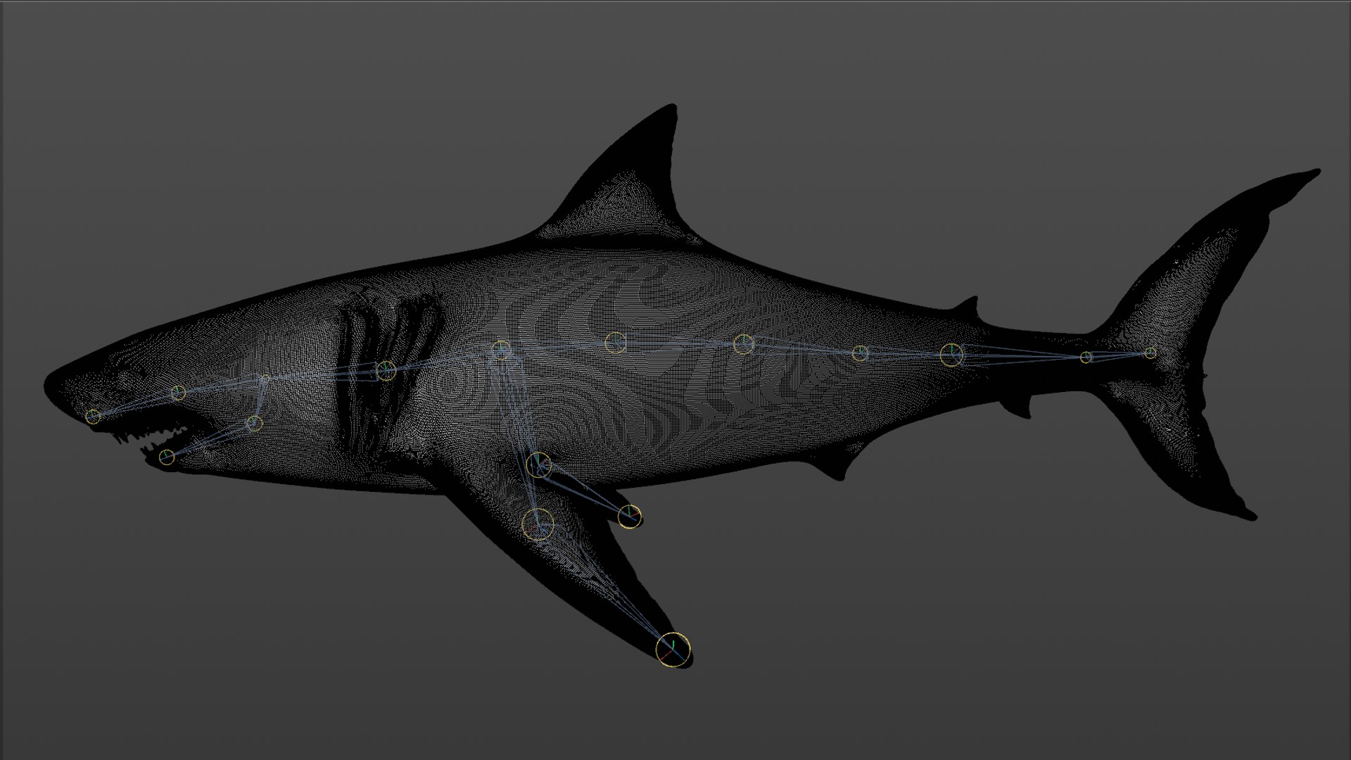 great white shark rigged 3D https://p.turbosquid.com/ts-thumb/Zl/GujvOM/UFKGTXrt/38/png/1591662960/1920x1080/fit_q87/0822fe46db0ef8281f40c3142c51a52394fa6a34/38.jpg