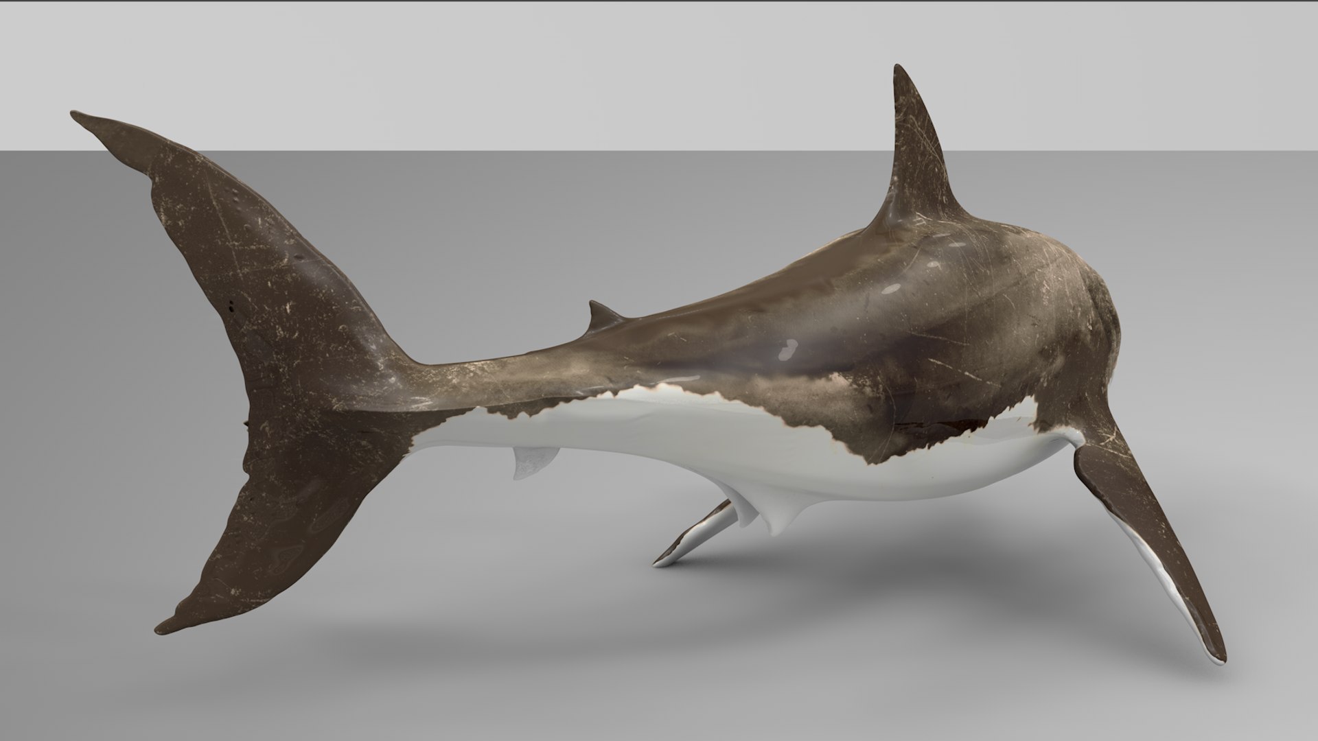 great white shark rigged 3D https://p.turbosquid.com/ts-thumb/Zl/GujvOM/YZ5nkhQL/09/png/1591662602/1920x1080/fit_q87/4bf2b1e9508098b19a28b83561883a2a1bc63599/09.jpg