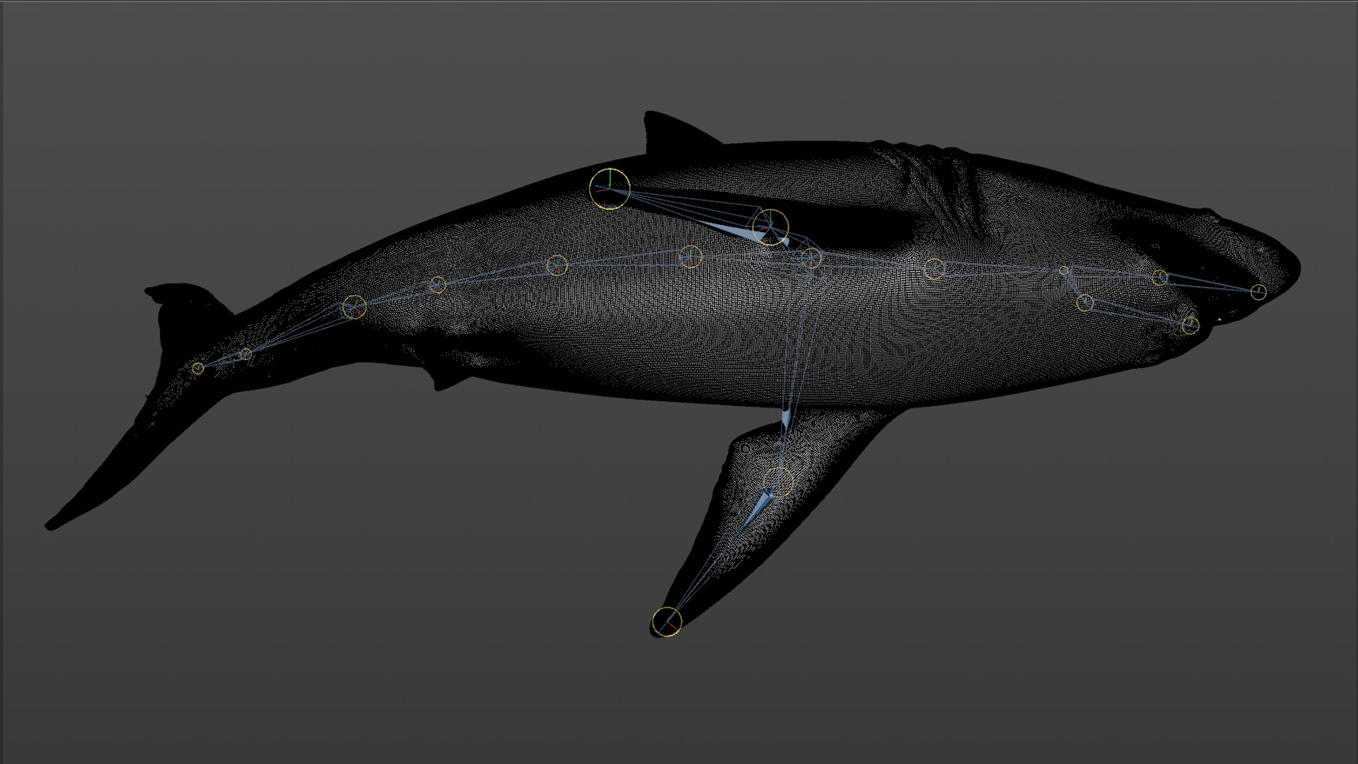 great white shark rigged 3D https://p.turbosquid.com/ts-thumb/Zl/GujvOM/ZzT6Dm2c/40/png/1591662960/1920x1080/fit_q87/8aa77d0c27d185f2ae8c28b900a05307cf64a9a8/40.jpg