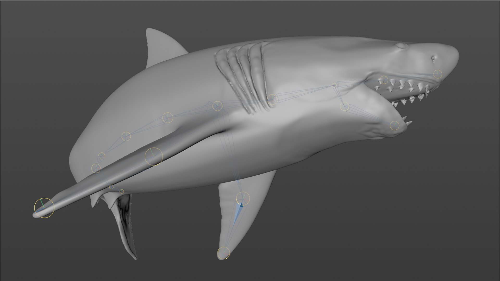 great white shark rigged 3D https://p.turbosquid.com/ts-thumb/Zl/GujvOM/ar47qFJr/72/png/1591662962/1920x1080/fit_q87/3f12edd84d1e232586810e608eb8febf038787f4/72.jpg