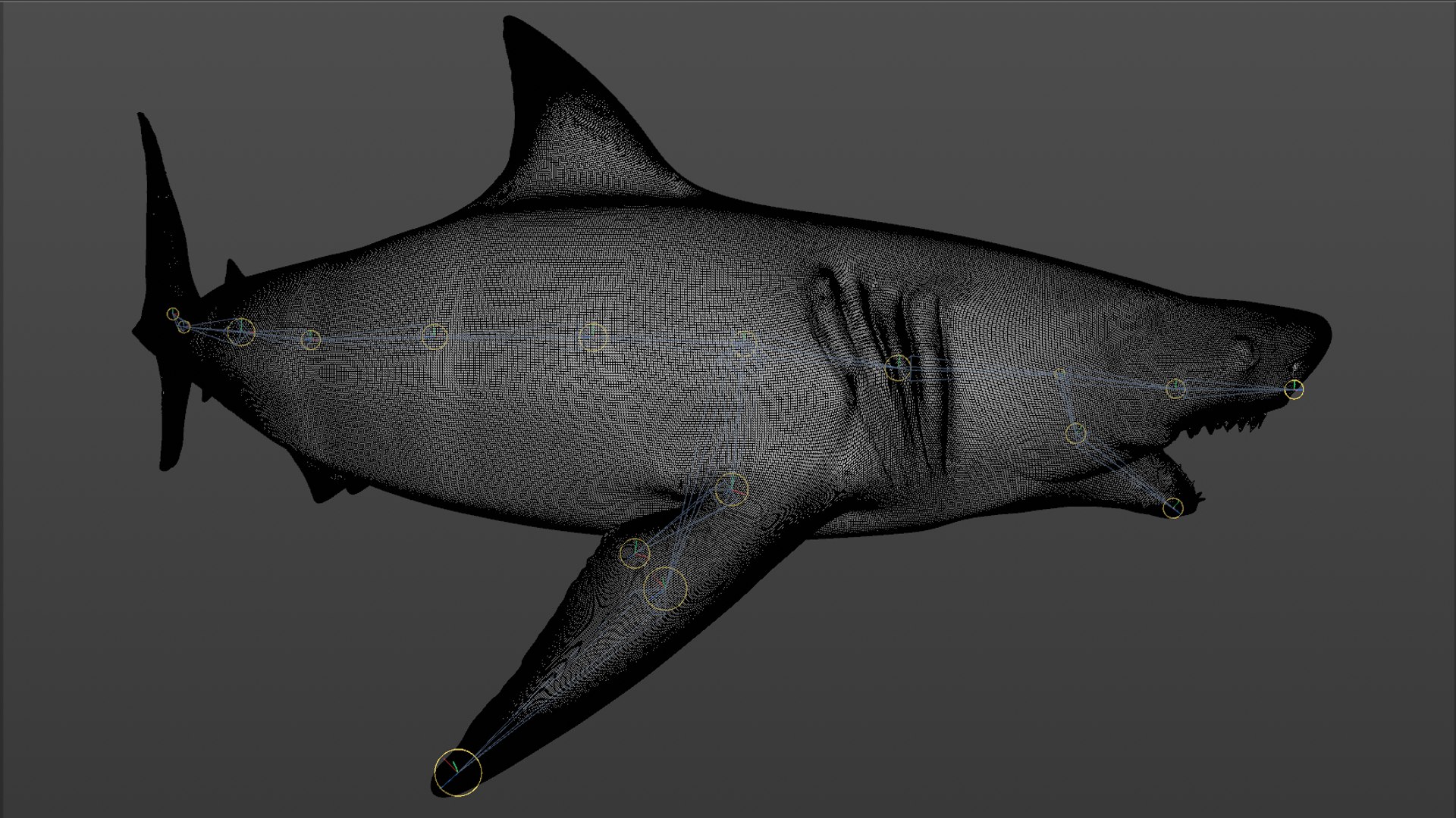 great white shark rigged 3D https://p.turbosquid.com/ts-thumb/Zl/GujvOM/cYW1uX4D/37/png/1591662960/1920x1080/fit_q87/a0719222fabd514fa71cc15c71b08cc8d3dbfd93/37.jpg