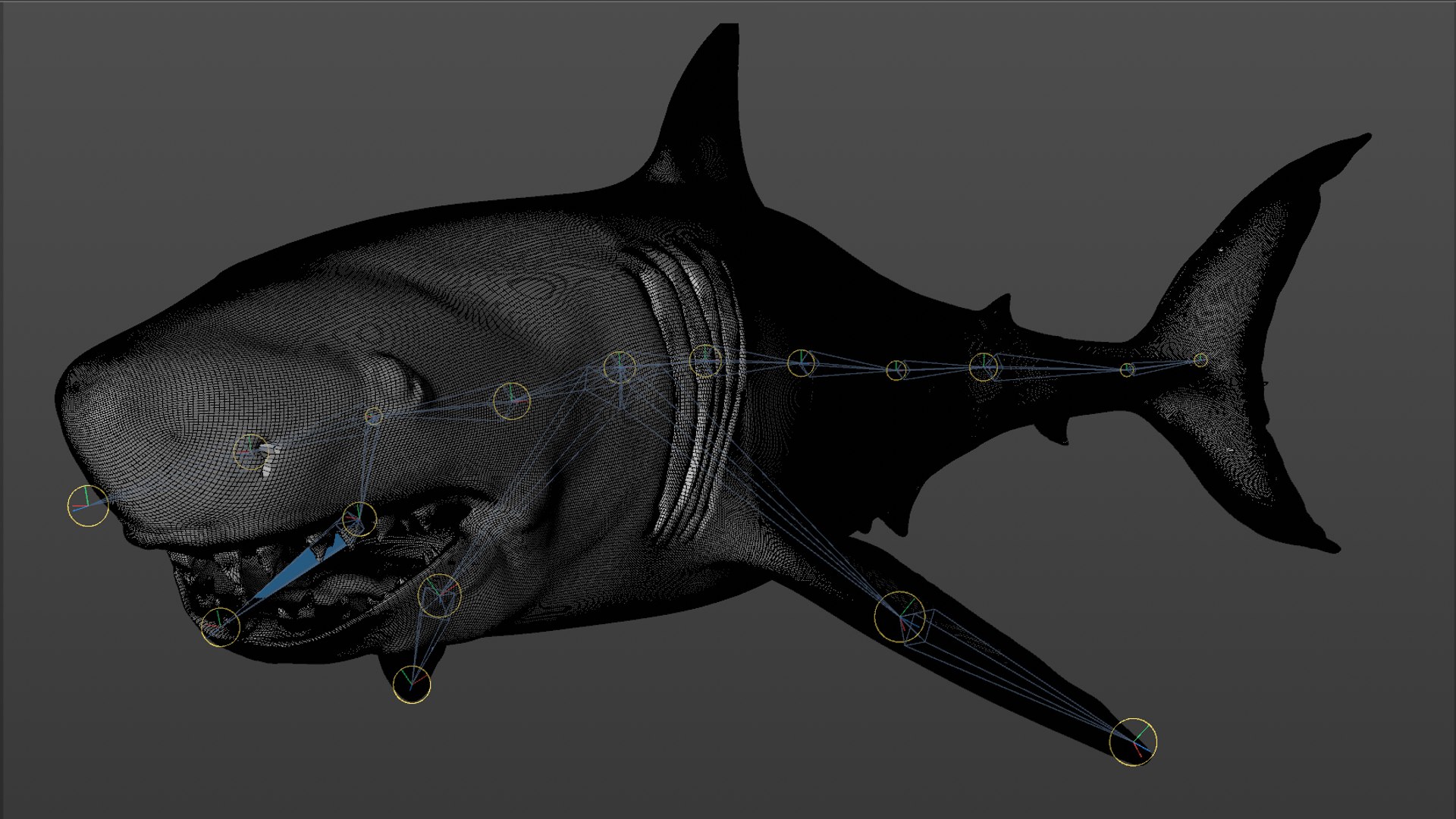 great white shark rigged 3D https://p.turbosquid.com/ts-thumb/Zl/GujvOM/eGtru57i/58/png/1591662961/1920x1080/fit_q87/19382b76ccaf366113e02a9f2abff6296d5444a1/58.jpg