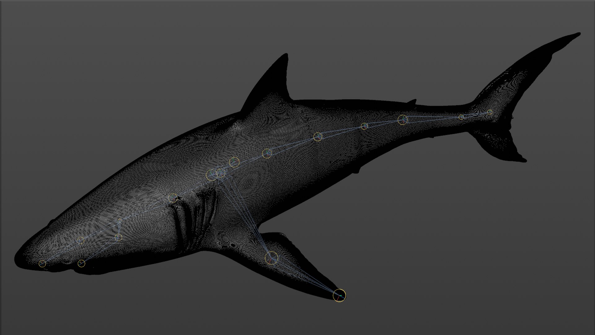 great white shark rigged 3D https://p.turbosquid.com/ts-thumb/Zl/GujvOM/fA2n8QCc/34/png/1591662960/1920x1080/fit_q87/85b42df5b24e09a0273f853246767912b06f4ab2/34.jpg