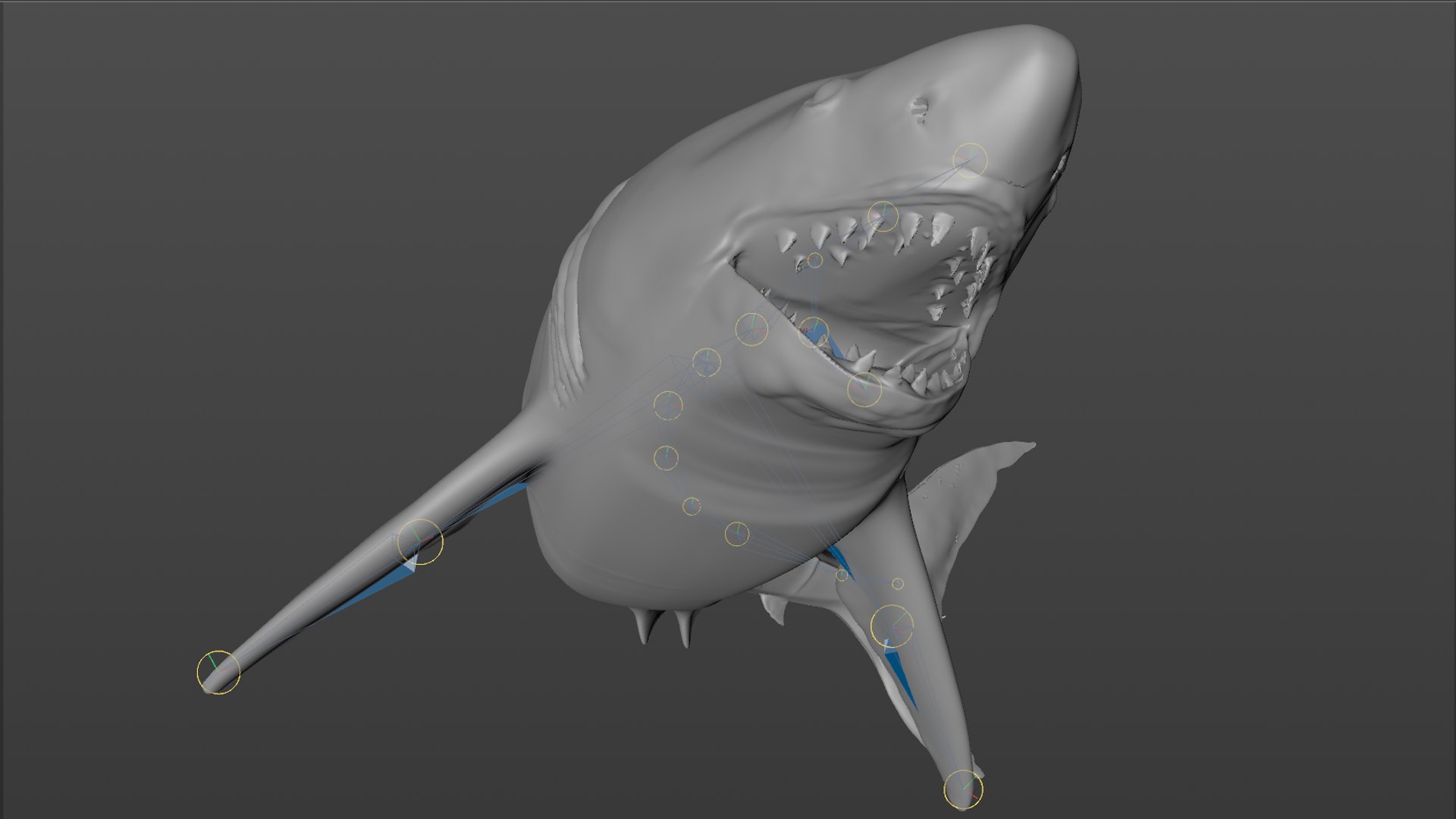 great white shark rigged 3D https://p.turbosquid.com/ts-thumb/Zl/GujvOM/nNV22ePq/69/png/1591662962/1920x1080/fit_q87/68f4414edc83e704885340cc4d53df3c4a84cdc7/69.jpg
