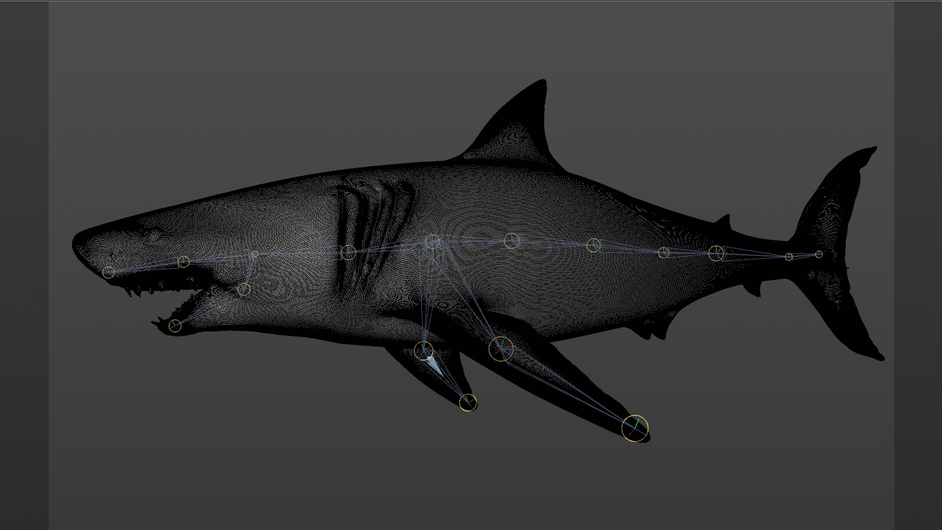 great white shark rigged 3D https://p.turbosquid.com/ts-thumb/Zl/GujvOM/ro7h2L4h/31/png/1591662960/1920x1080/fit_q87/3c1cfb9e3f901ae128f822bbed4566fe1c4af674/31.jpg