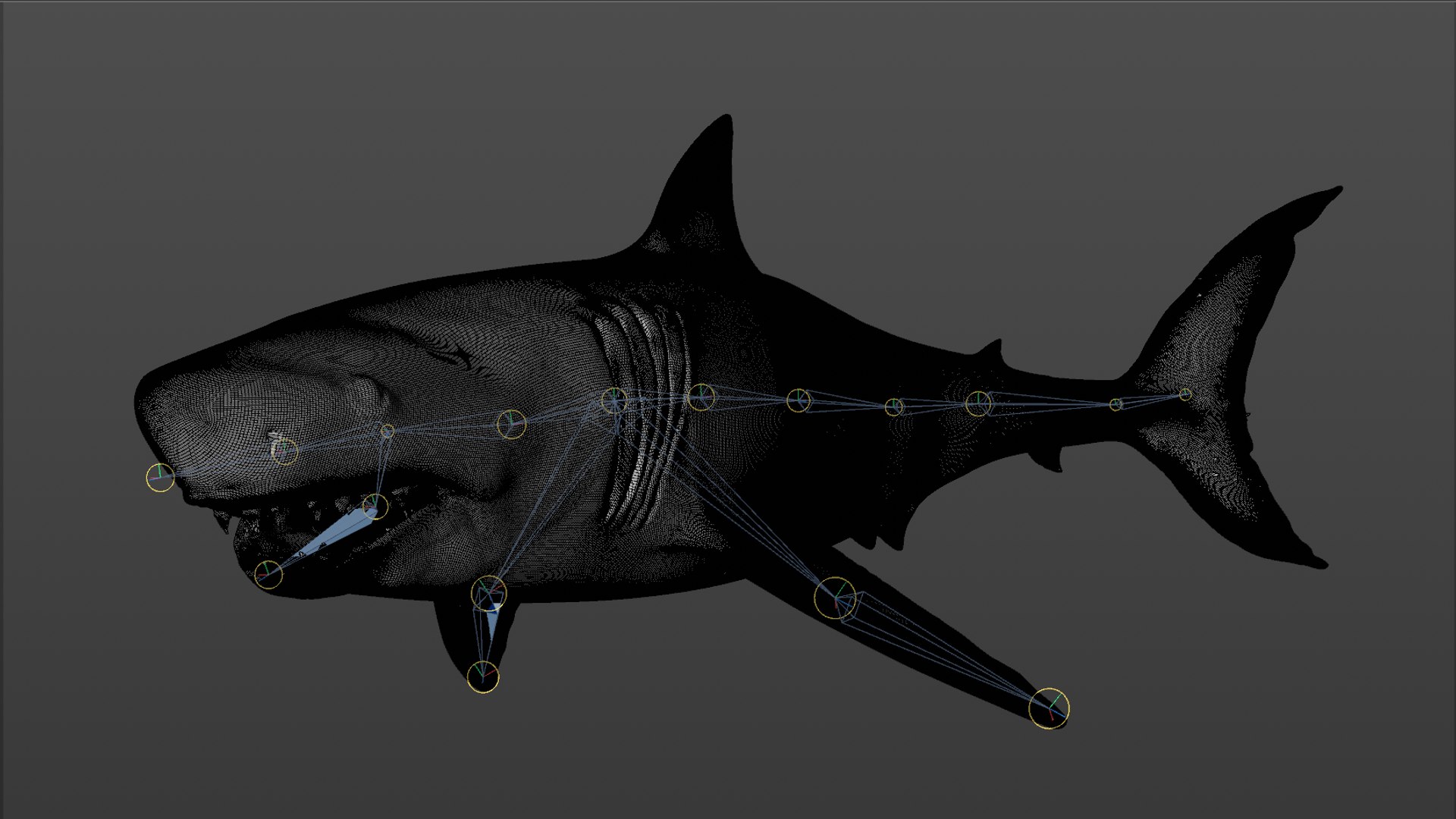 great white shark rigged 3D https://p.turbosquid.com/ts-thumb/Zl/GujvOM/sHktLNmx/49/png/1591662961/1920x1080/fit_q87/1d98d1bfafe4931292d9825187833416b4a9276c/49.jpg
