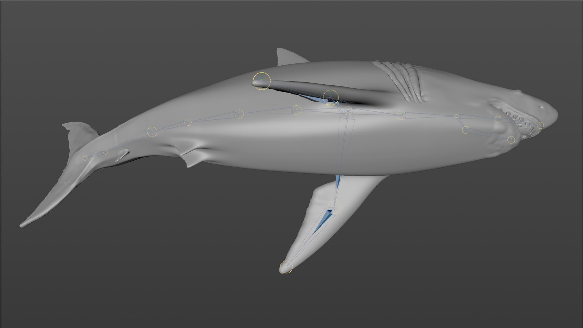 great white shark rigged 3D https://p.turbosquid.com/ts-thumb/Zl/GujvOM/soJGkvAB/41/png/1591662960/1920x1080/fit_q87/3f98ea3c109e0eed48f1e6c46335fd0ef0f3aba7/41.jpg