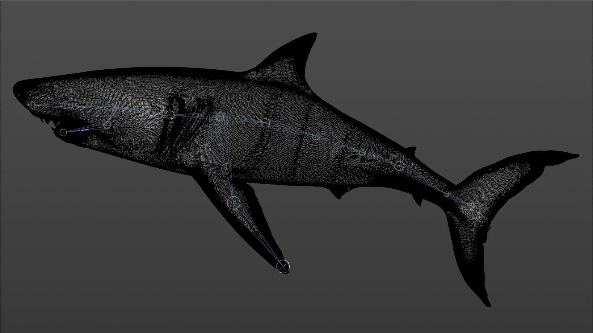 great white shark rigged 3D https://p.turbosquid.com/ts-thumb/Zl/GujvOM/uDLglFf4/32/png/1591662960/1920x1080/fit_q87/3e7f86e2f97288dd4850eb76fe50d5bd932e0a9d/32.jpg
