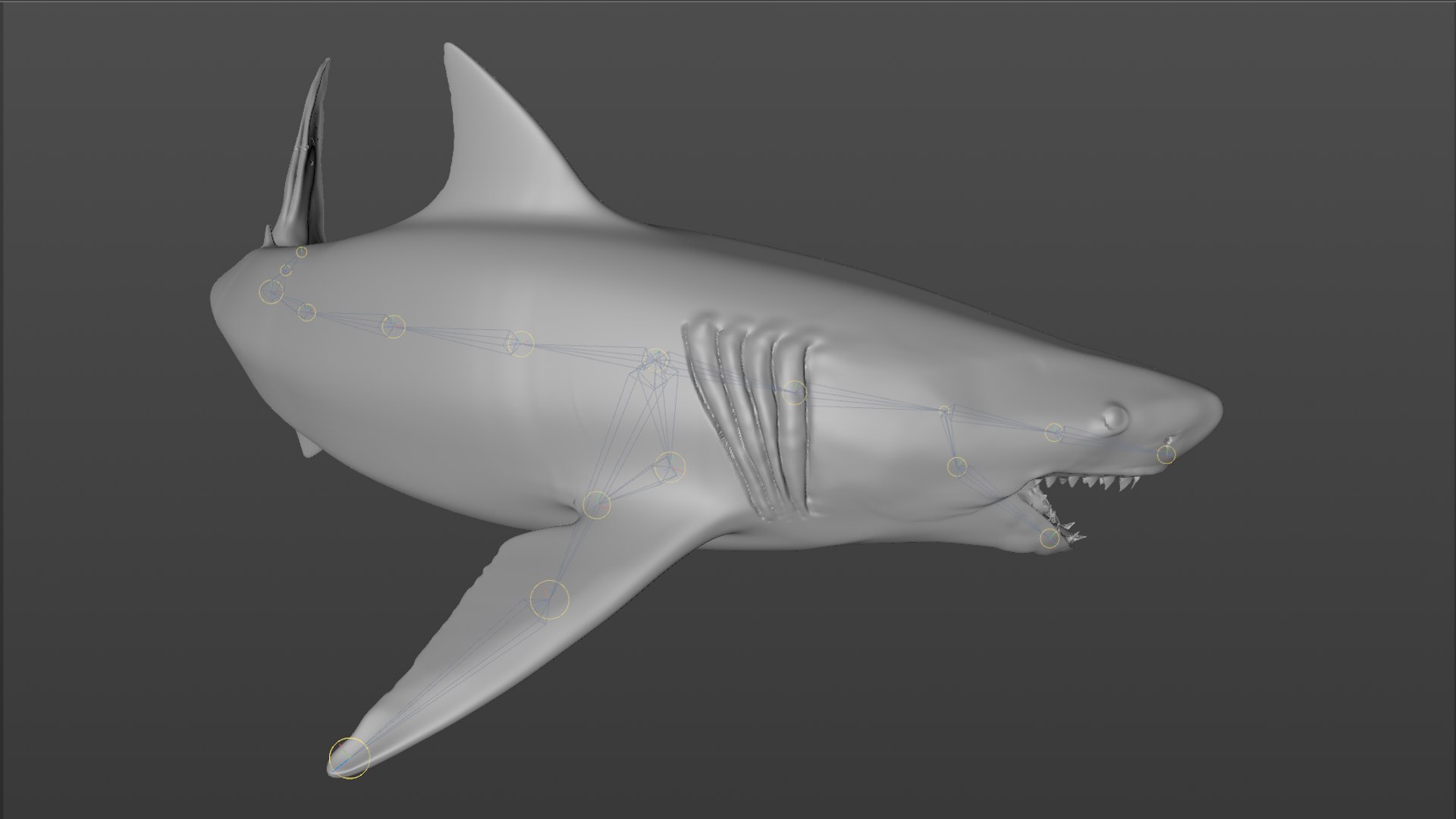 great white shark rigged 3D https://p.turbosquid.com/ts-thumb/Zl/GujvOM/v5ndpxUf/62/png/1591662962/1920x1080/fit_q87/8cb2dec3a8c66691abce4245767db52b8c9bf0a0/62.jpg