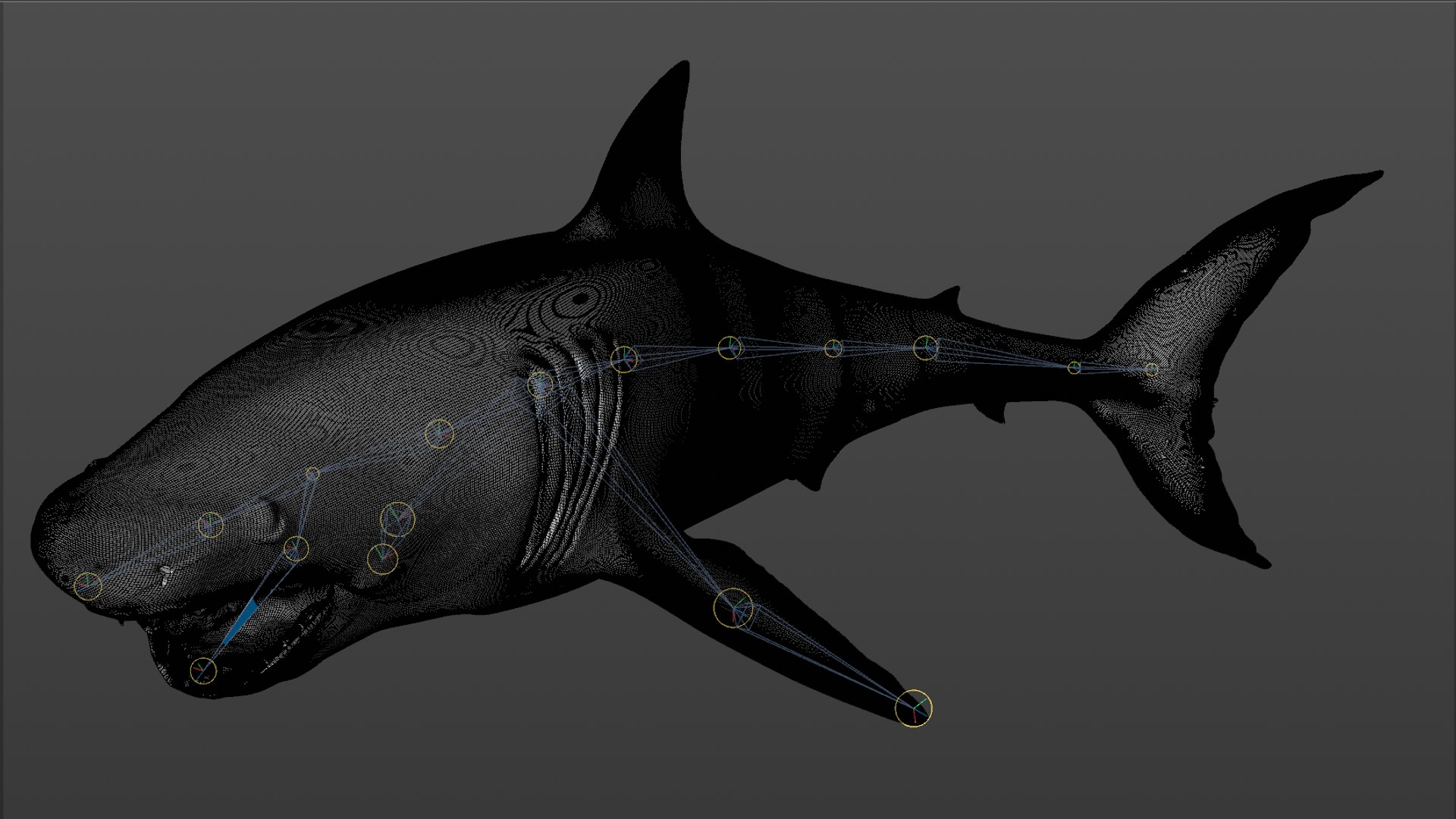 great white shark rigged 3D https://p.turbosquid.com/ts-thumb/Zl/GujvOM/va2jyF6z/66/png/1591662962/1920x1080/fit_q87/b3faba7a6151da6dd953819de1e9d07bfa093a6e/66.jpg