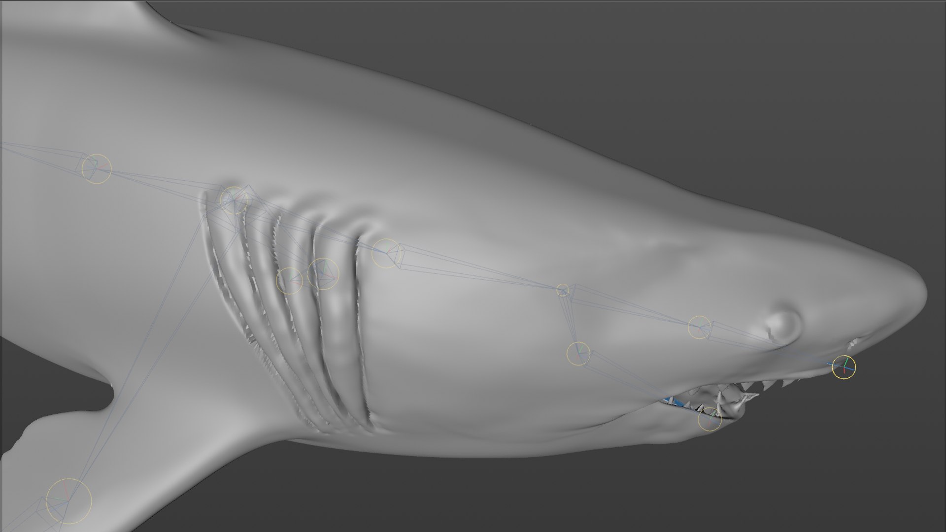 great white shark rigged 3D https://p.turbosquid.com/ts-thumb/Zl/GujvOM/yzGO9axr/43/png/1591662960/1920x1080/fit_q87/c1139c8e4ae942708dcafdc0f72bfb779ec3b0ab/43.jpg