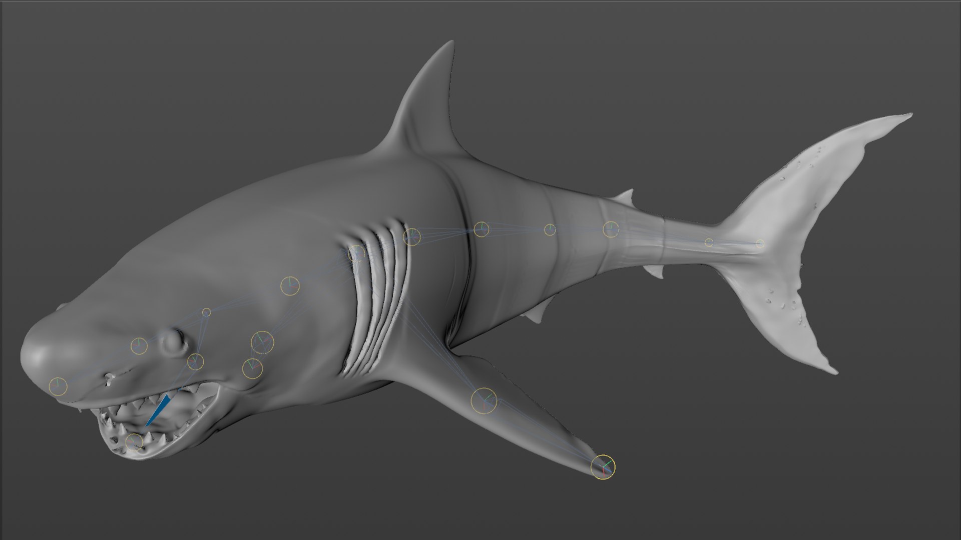 great white shark rigged 3D https://p.turbosquid.com/ts-thumb/Zl/GujvOM/z36501fk/67/png/1591662962/1920x1080/fit_q87/d5d4d056fc07461f3f7f08154a263c536e3b8f77/67.jpg