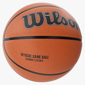 Basketball Wilson