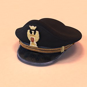 police hat x