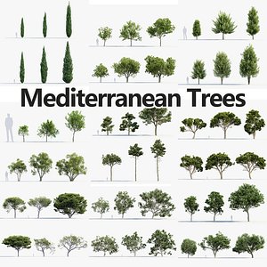 3D Package 10 Mediterranean Trees Collection