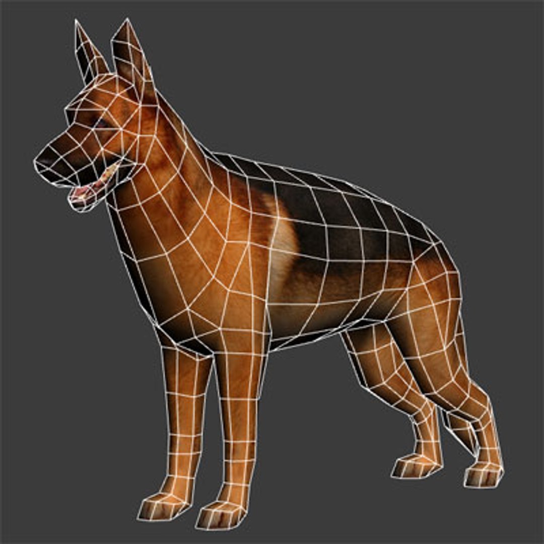 German Shepherd 3d Model
