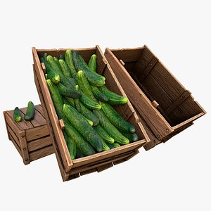 3D Cucumber Box Crate Stand model