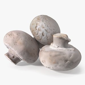 3D White Portobello Mushrooms Heap