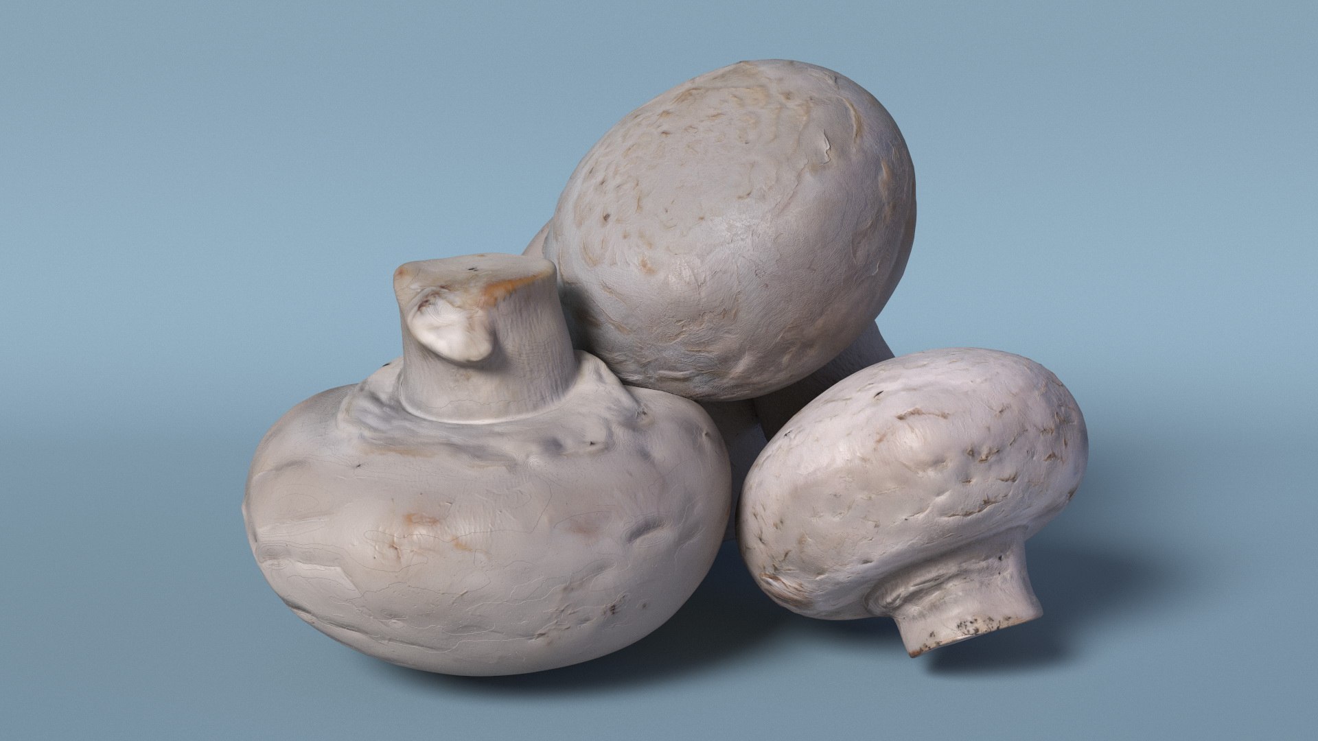 3D White Portobello Mushrooms Heap https://p.turbosquid.com/ts-thumb/Zl/ph0M2z/IJ/white_portobello_mushrooms_heap_005/jpg/1743314819/1920x1080/fit_q87/35468a2fce55087eb3adf4ccd2b633a9b432f427/white_portobello_mushrooms_heap_005.jpg