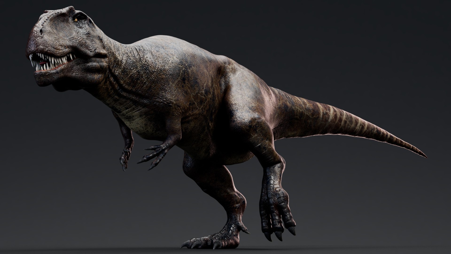 3D Giganotosaurus Real Dinosaur Series - TurboSquid 1943876