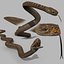 Snake Reptile Pack 8K 3D model
